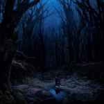 WOODS OF DESOLATION - Torn Beyond Reason Re-Release DIGI
